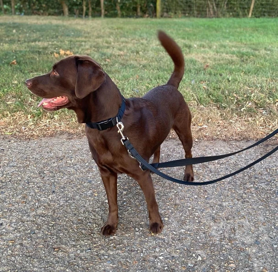 Police Style Dog Training Lead Black Double Ended Multi Functional Soft 25mm